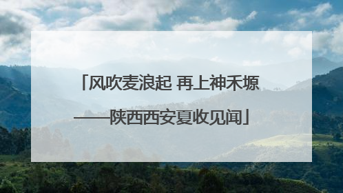 风吹麦浪起 再上神禾塬——陕西西安夏收见闻