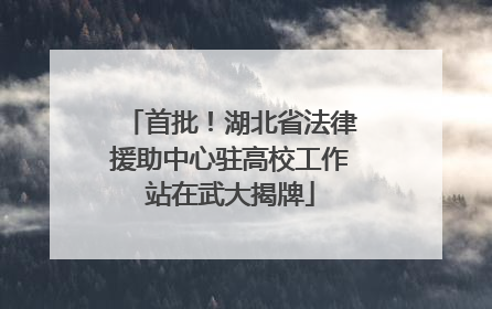 首批！湖北省法律援助中心驻高校工作站在武大揭牌