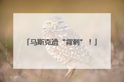 马斯克遭“背刺”！