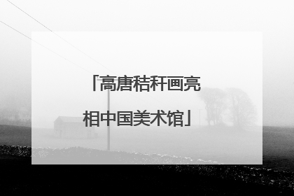 高唐秸秆画亮相中国美术馆
