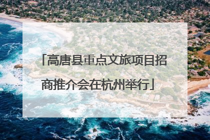 高唐县重点文旅项目招商推介会在杭州举行