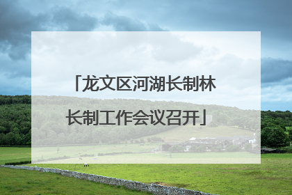 龙文区河湖长制林长制工作会议召开