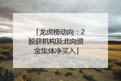 龙虎榜动向：2股获机构及北向资金集体净买入