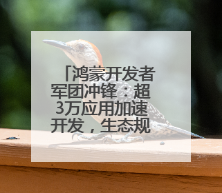 鸿蒙开发者军团冲锋：超3万应用加速开发，生态规模战进入关键期