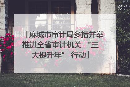麻城市审计局多措并举推进全省审计机关 “三大提升年” 行动
