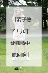 麦子熟了！九千载稼穑中原回响