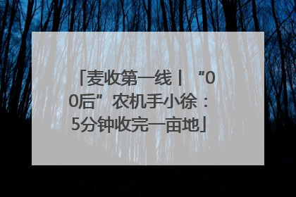 麦收第一线丨“00后”农机手小徐：5分钟收完一亩地