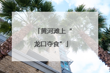 黄河滩上“龙口夺食”