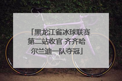 黑龙江省冰球联赛第二站收官 齐齐哈尔兰迪一队夺冠
