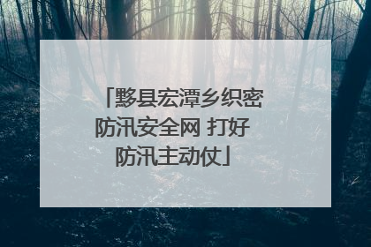 黟县宏潭乡织密防汛安全网 打好防汛主动仗