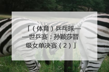 （体育）乒乓球——世乒赛：孙颖莎晋级女单决赛（2）