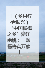（乡村行·看振兴）“中国杨梅之乡”浙江余姚：一颗杨梅富万家