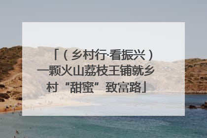 （乡村行·看振兴）一颗火山荔枝王铺就乡村“甜蜜”致富路