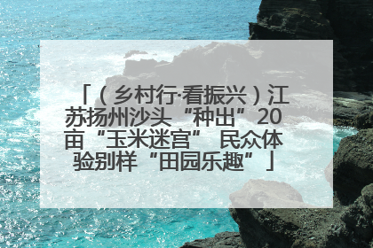 （乡村行·看振兴）江苏扬州沙头“种出”20亩“玉米迷宫” 民众体验别样“田园乐趣”