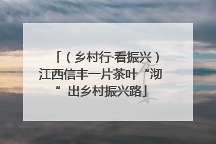 （乡村行·看振兴）江西信丰一片茶叶“沏”出乡村振兴路