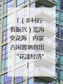 （乡村行·看振兴）荒沟变花海：内蒙古闲置地育出“花漾经济”