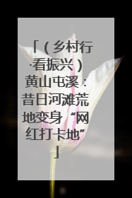 （乡村行·看振兴）黄山屯溪：昔日河滩荒地变身“网红打卡地”