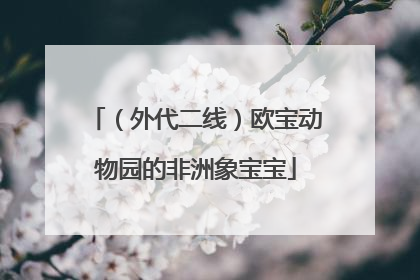 （外代二线）欧宝动物园的非洲象宝宝
