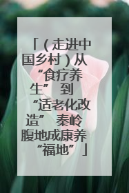 （走进中国乡村）从 “食疗养生” 到 “适老化改造” 秦岭腹地成康养“福地”