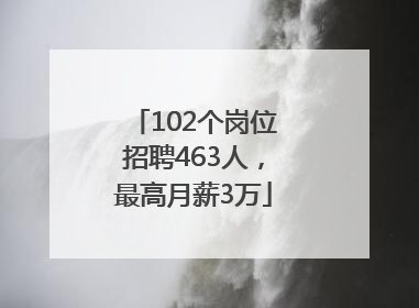 102个岗位招聘463人，最高月薪3万