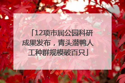 12项市属公园科研成果发布，青头潜鸭人工种群规模破百只