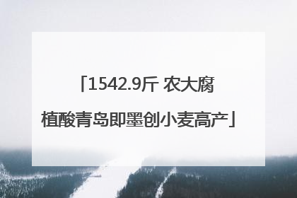 1542.9斤 农大腐植酸青岛即墨创小麦高产