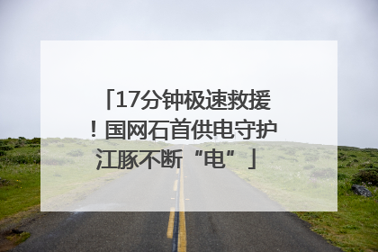 17分钟极速救援！国网石首供电守护江豚不断“电”