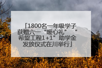 1800名一年级学子获赠六一“暖心礼” “希望工程1+1”助学金发放仪式在川举行