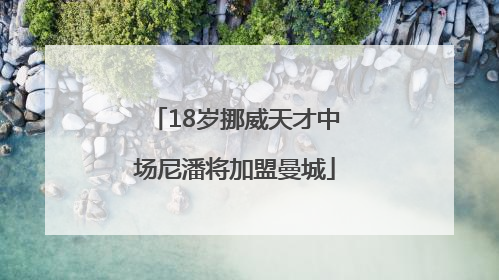 18岁挪威天才中场尼潘将加盟曼城