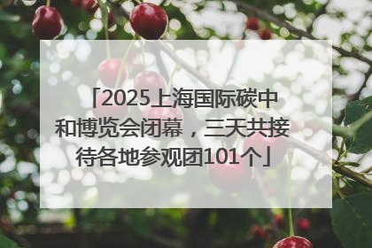 2025上海国际碳中和博览会闭幕，三天共接待各地参观团101个