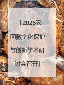 2025云冈数字化保护与创新学术研讨会召开