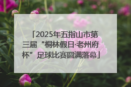 2025年五指山市第三届“桐林假日·老州府杯”足球比赛圆满落幕