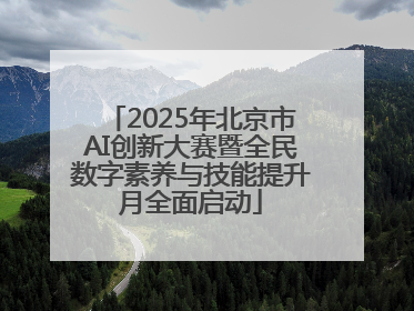 2025年北京市AI创新大赛暨全民数字素养与技能提升月全面启动
