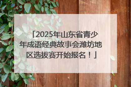 2025年山东省青少年成语经典故事会潍坊地区选拔赛开始报名！