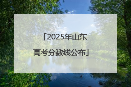 2025年山东高考分数线公布