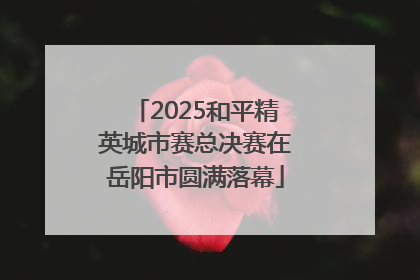 2025和平精英城市赛总决赛在岳阳市圆满落幕