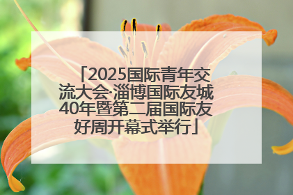 2025国际青年交流大会·淄博国际友城40年暨第二届国际友好周开幕式举行