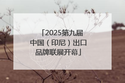 2025第九届中国（印尼）出口品牌联展开幕