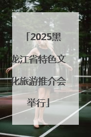 2025黑龙江省特色文化旅游推介会举行