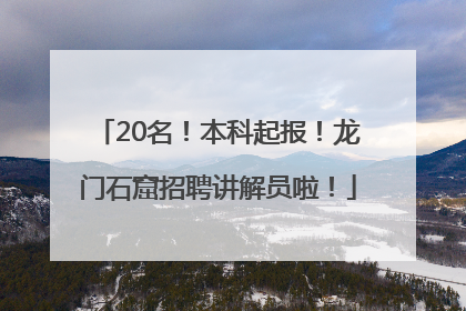 20名！本科起报！龙门石窟招聘讲解员啦！