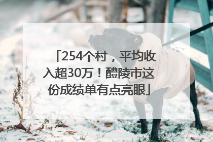 254个村，平均收入超30万！醴陵市这份成绩单有点亮眼