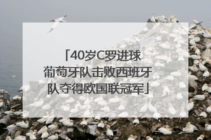40岁C罗进球 葡萄牙队击败西班牙队夺得欧国联冠军