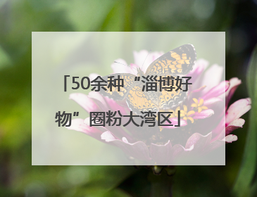 50余种“淄博好物”圈粉大湾区