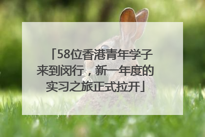 58位香港青年学子来到闵行，新一年度的实习之旅正式拉开