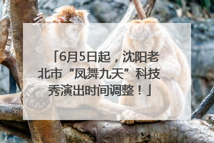 6月5日起，沈阳老北市“凤舞九天”科技秀演出时间调整！