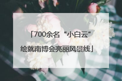 700余名“小白云”绘就南博会亮丽风景线