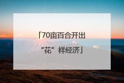 70亩百合开出“花”样经济