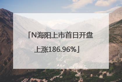 N海阳上市首日开盘上涨186.96%
